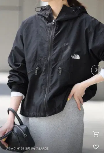 THE NORTH FACE 블랙 마운틴 후드티 L