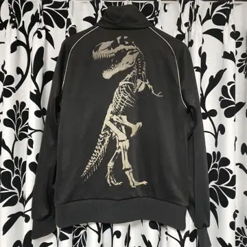 DRESSCAMP x 챔피온 t-rex 저지 레어 L