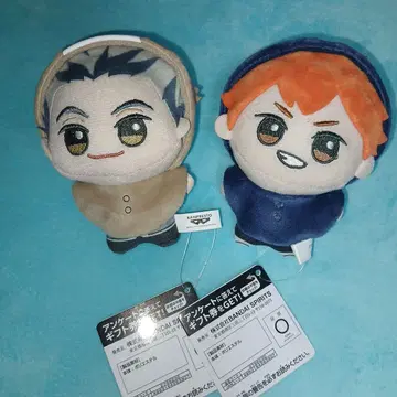 하이큐!! 치비구루루미 봉제 인형 vol.1