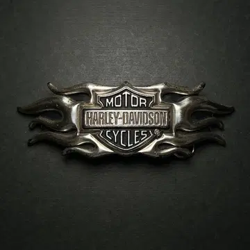 레어 할리 버클 2004 파이어 패턴 빈티지 00s