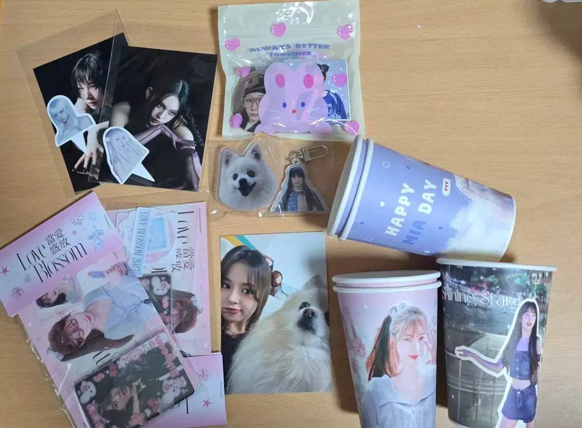 Everglow birthday cafe pre-order benefit sharing