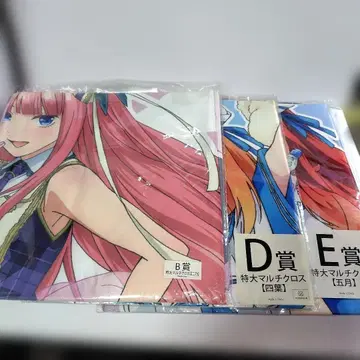 여친, 빌리겠습니다 특대형 멀티 크로스 3세트