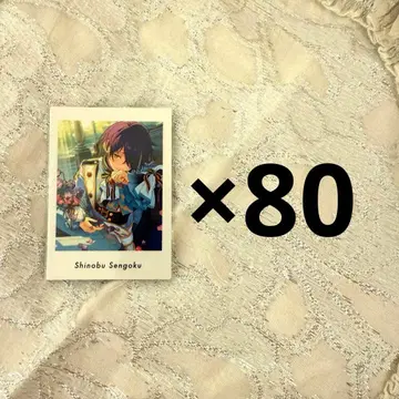 센고쿠 시노부 파샤츠 80장