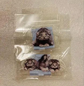 마눌고양이 고베 동물왕국 아크릴 스탠드 2개 세트