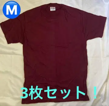 귀중 90s Hanes BEEFY T셔츠 3장 세트 M 와인 미사용
