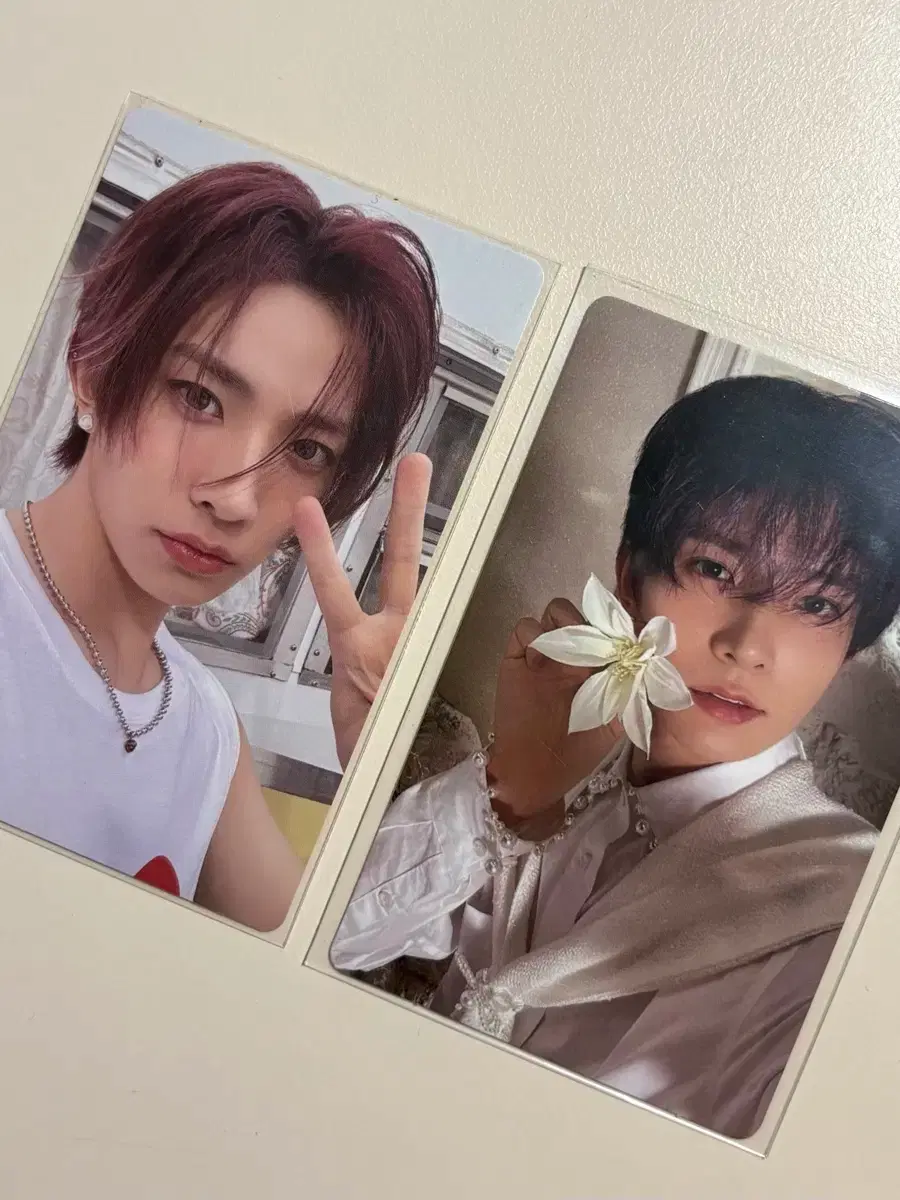 Enhypen heeseung photocard bulk