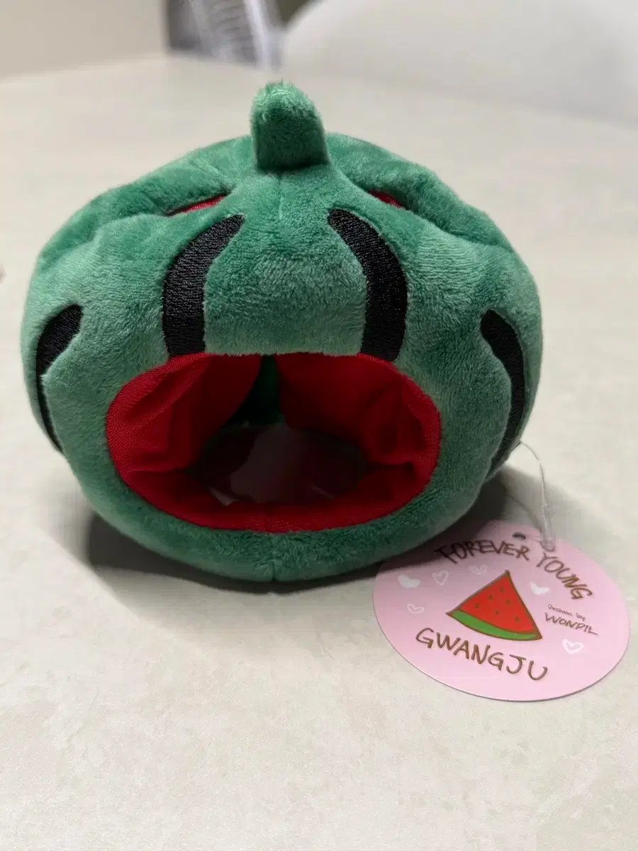 [Below Cost] DAY6 Dennimals Plush Costume Watermelon