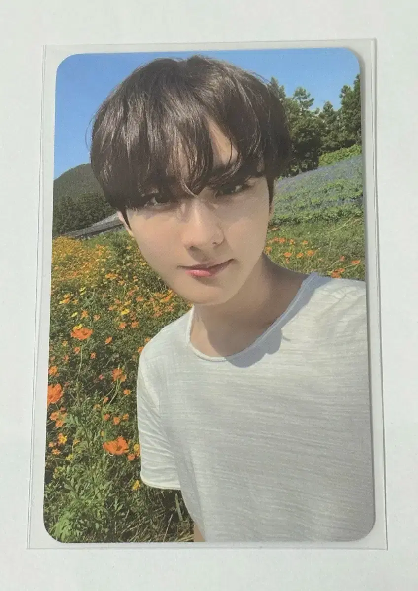 Enhypen Jungwon Orange Blood M2U Ld pre-order benefit poca