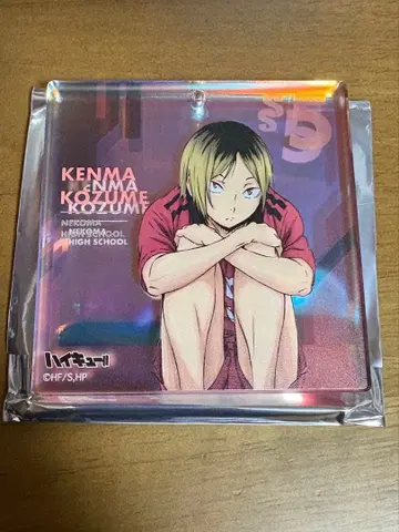 하이큐!! BIG 오로라 블로키 운세 앉아있는 여우 손톱 연마