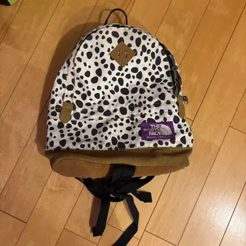 THE NORTH FACE 도트 무늬 백팩