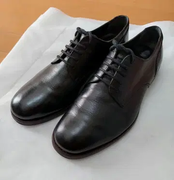 비카시 플레인 토 슈즈