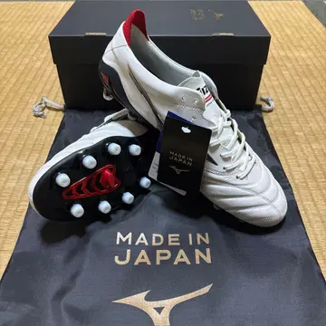 모렐리아 네오 4