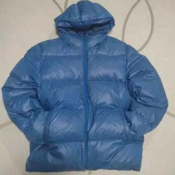 남성용 파랑 다운