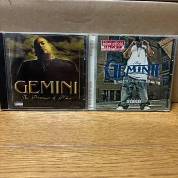 빅 제미니 GEMINI: 2장입니다.