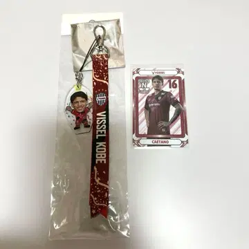 빗셀 고베 카에타노 굿즈