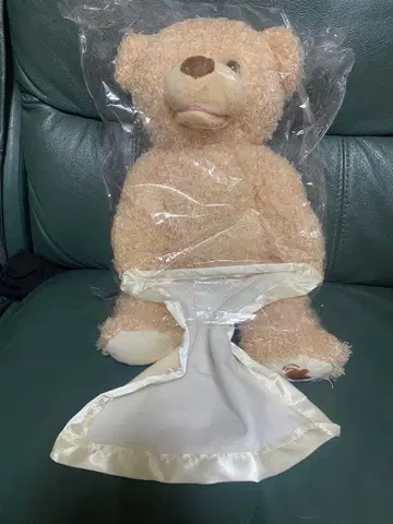 BABA BEAR 까꿍놀이 하는 곰 인형