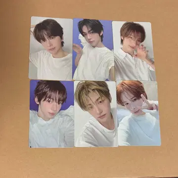 tws playhard 트레이딩 카드 컴프