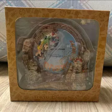 [ 레어 ] 도쿄디즈니씨 레이징 스피릿 사진 프레임