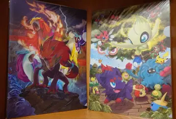 포켓몬 조로아 조로아크 클리어 파일