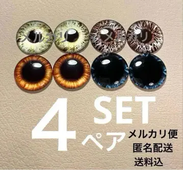 브라이스 아이칩