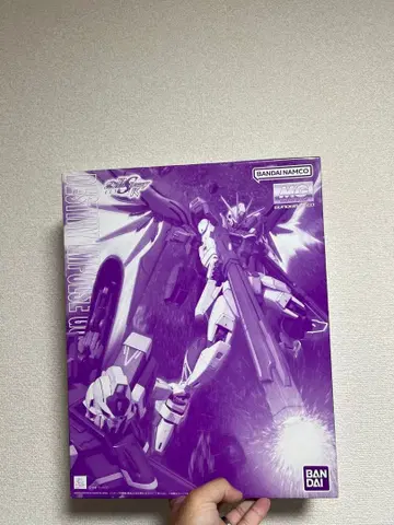 MG 1/100 데스티니 임펄스 건담 R (리제네스)