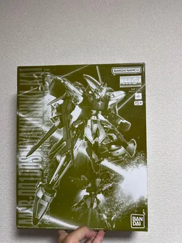 MG 1/100 햐쿠시키 개