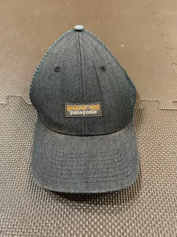 Patagonia 틴셰드 메쉬 캡