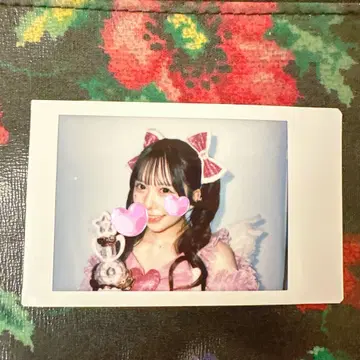 sweetsteady 쿠리타 나츠카 생탄 폴라로이드