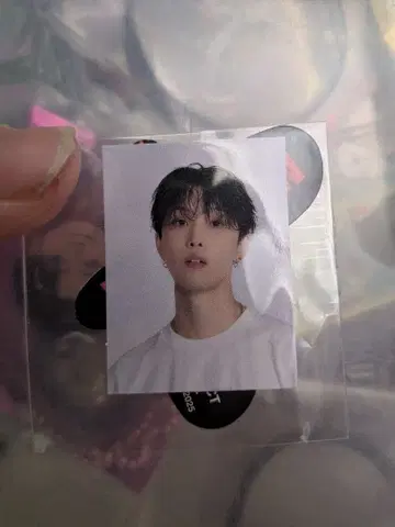 호리 나츠키 스티커 [ 최저가 ]