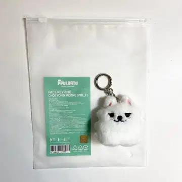 TXT 뿔바투 용몬 페이스 키링