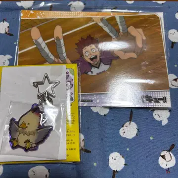 하이큐 텐도 사토리