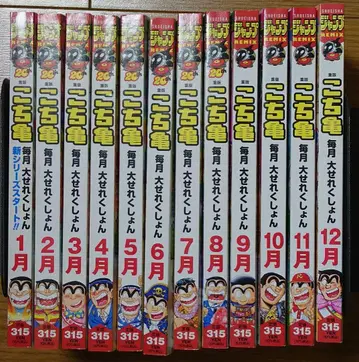 코치카메 매월 대선택 1~12월 세트