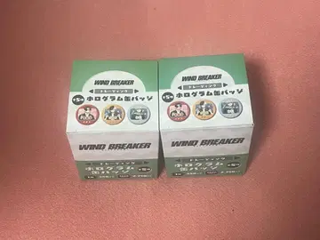WIND BREAKER 홀로그램 캔뱃지 2개 세트