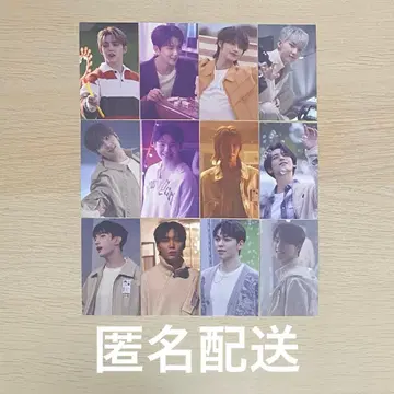 seventeen 소비기한 도쿄 공연 유니버설 세미 컴플리트 세트