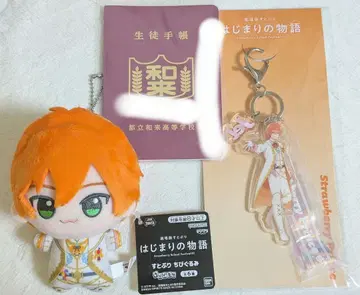 젤 군 묶음 판매