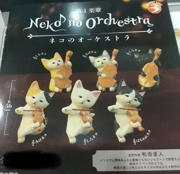 고양이 오케스트라 전 6종