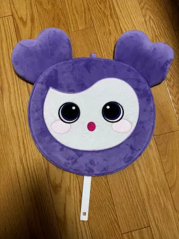 TWICE 서브 리 부채