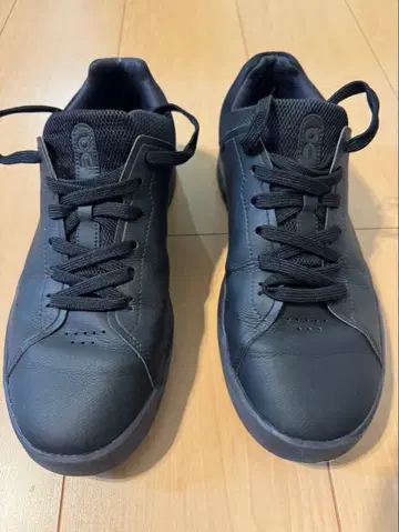 On THE ROGER Advantage