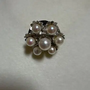 펄 물림쇠 STARRING