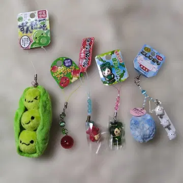 레어 지역 특색 스트랩 묶음 판매