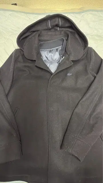 라코스테 P 코트 네이비