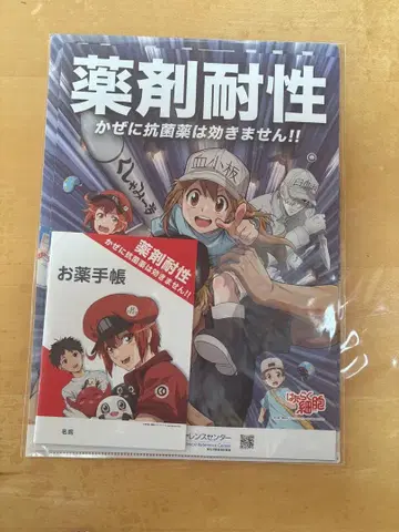 [미개봉] 5세트 / 일하는 세포 약 수첩 클리어 파일