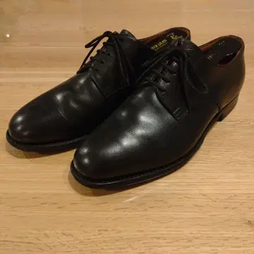 스코치 그레인 샤인 오어 레인 드레스 슈즈