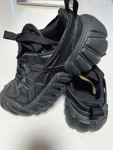 DENTIGRE LS / 덴티그레 엘에스