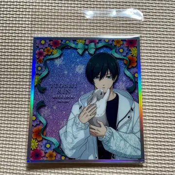 블루 록 AGF Rabbit 린 마즐 아크릴 라메 아트