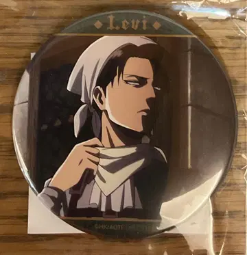 진격의 거인 기억으로의 추격 청소 리바이 캔뱃지