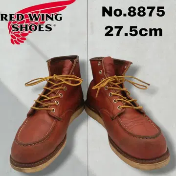 [새상품급] 레드윙 8875 아이리쉬 세터 모크토 적갈색 오로라