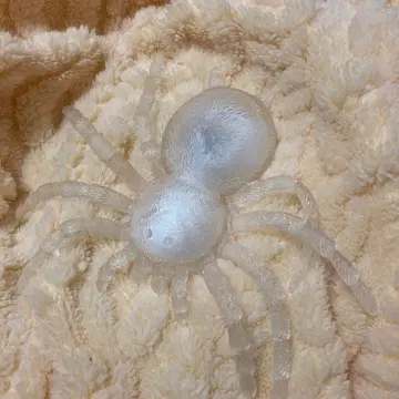 쭉 늘어나는! 위험한 리얼 거미 생물