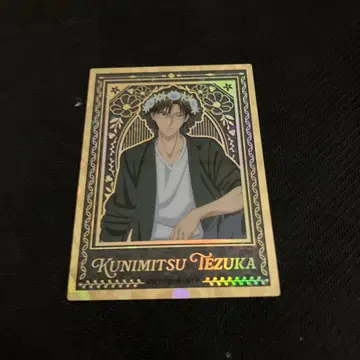 테니스의 왕자님 테즈카 쿠니미츠 홀로그램 클리어 카드 화관 금박