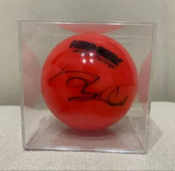 nct 도영 사인공